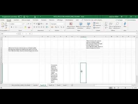 Excel 2016 : Comment ajuster colonne et ligne de manière en VBA sur Excel en moins de 3 min.
